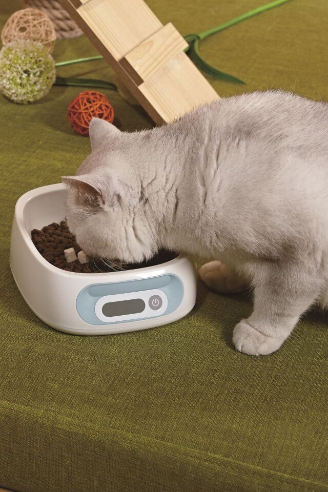 Dijital Kedi Köpek Mama Ve Su Kabı Elektronik Beslenme Kabı 2kg/1g